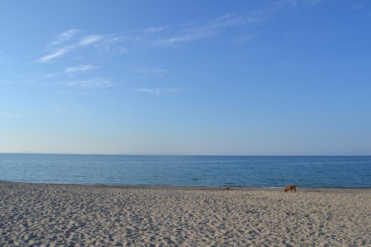 Miramare Struttura Sulla Spiaggia ปลาตาโมนา ภายนอก รูปภาพ