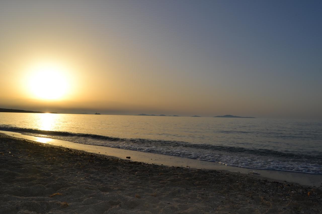 Miramare Struttura Sulla Spiaggia ปลาตาโมนา ภายนอก รูปภาพ